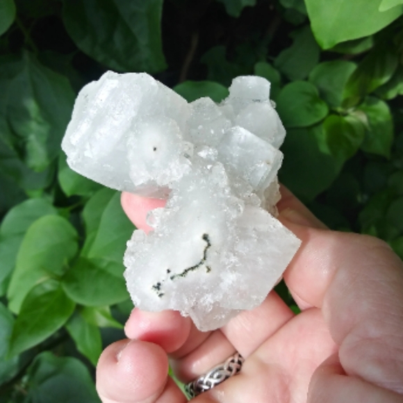 Apophyllite Crystal Cluster - Picture 3 of 10